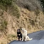 Dağ evi De La Beysserole Haute *
